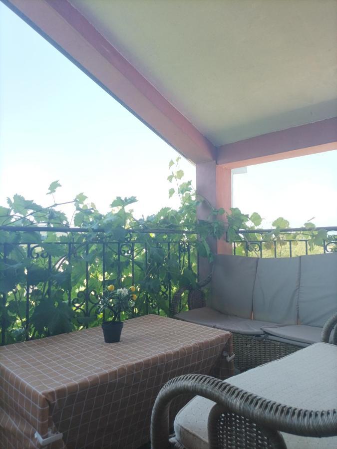 Apartman Balsa Kotor Exterior photo